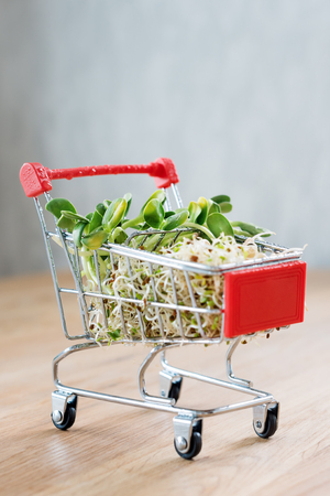 Micro greens in shopping cart on wooden background. Different types of microgreens for sale. Healthy eating concept of fresh garden produce organically grown, symbol of health. Vitamins from nature.の写真素材