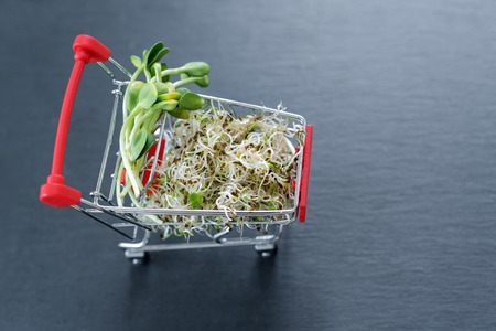 Micro greens in shopping cart on dark background. Different types of microgreens for sale. Healthy eating concept of fresh garden produce organically grown, symbol of health. Vitamins from nature.の写真素材