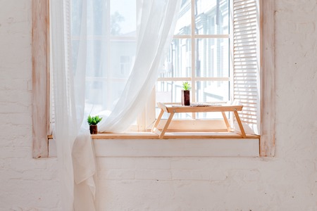 Green cactus, succulents on the windowsill on wooden table with light soft background. Spring or summer greeting card. Home plants on the windowsillの写真素材