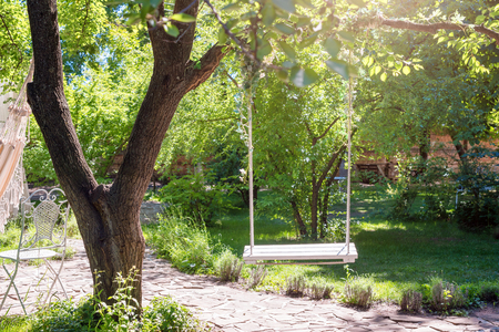Wooden swing on ropes under the big tree in the gardenの写真素材