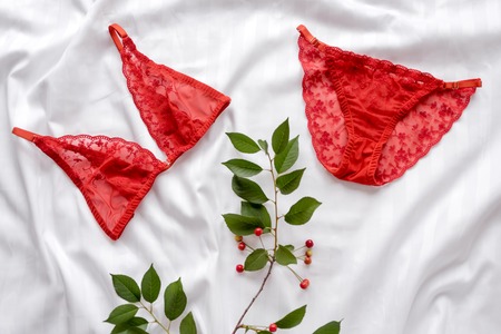 Shopping and fashion concept. Set of glamorous stylish sexy lace lingerie with cherry branch. Flat lay, copy space. Woman accessories on white backgroundの写真素材