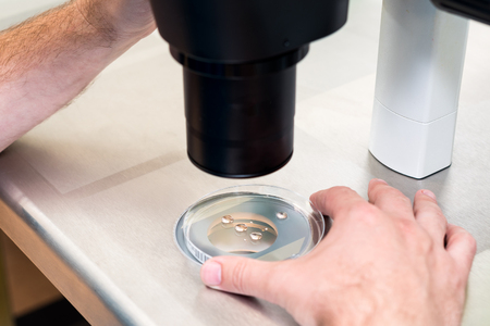 Embryologist or lab technician adjusting needle to fertilize a human egg under the microscope. Doctor adding sperm to egg using microscope. IVF Fertility Lab. Medicine conceptの写真素材