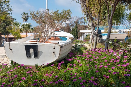 Old wooden boat used as flower pot for decorating a park near the sea. Beach coastline on Cyprus.の写真素材