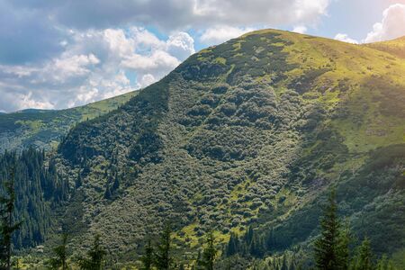 Summer landscape in the Carpathian mountains. View from the mountain peak Hoverla. Ukrainian...