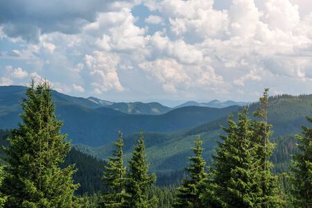 Summer landscape in the Carpathian mountains. View from the mountain peak Hoverla. Ukrainian...