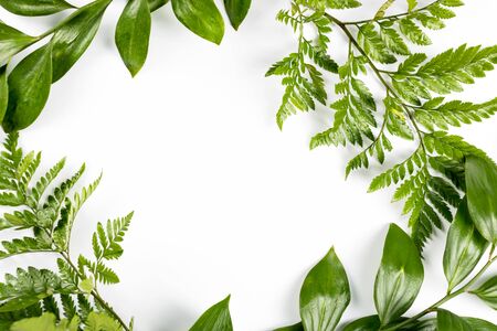 Green frame with branches and leaves on white background. Flat lay, top view, copyspace. Nature...