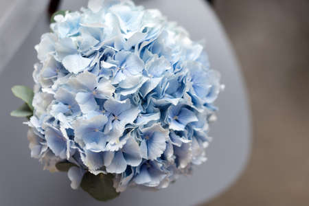Blue hydrangea bridal bouquet, top view. Wedding decor details, hydrangea blossomの写真素材