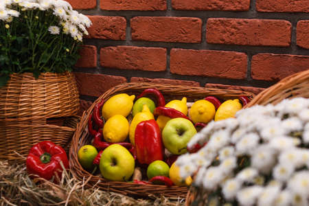 Autumn decor with vegetables and flowers on dry haystacks. Harvest and garden outdoor decorations for Halloween, Thanksgiving, autumn season still life. Fall styled compositionの写真素材