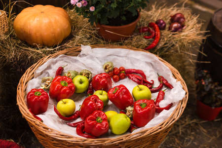Autumn decor with natural straw bale, pumpkin, apples, peppers and old wooden barrels. Harvest and garden outdoor decorations for Halloween, Thanksgiving, autumn season still life. Fall compositionの写真素材