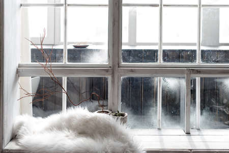 Cozy winter still life. Plants in pots and warm fur on vintage windowsill. Winter season, spending winter time at cozy home concept.の写真素材