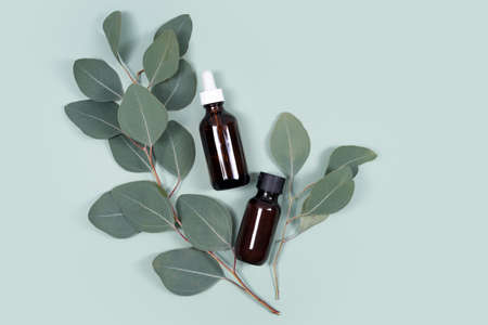 Essential oils with natural eucalyptus leaves on mint green background. Beauty products, facial skin care, spa beauty treatment concept. Flat lay, copy space.の写真素材