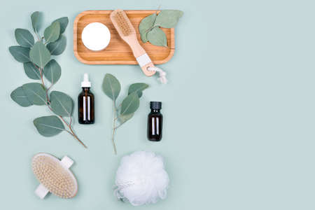 Essential oils, facial creme container and massage brushes with natural eucalyptus leaves on green background. Beauty products, massage tools, facial skin care, spa beauty treatment concept. Flat lay.の写真素材