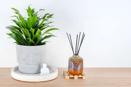 Buddha statuette home decoration near green plant and aroma lamp with incense sticks. Meditation, aromatherapy, Spa and wellness, relaxation, zen concept. Room decoration in oriental style, copy spaceの写真素材