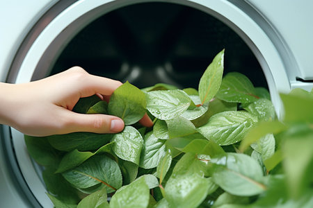 Female hand taking out some green leaves from modern washing machine. Eco cleaning, eco friendly washing concept. Environmentally friendly bio natural home cleaning. Spring cleaning themeの素材