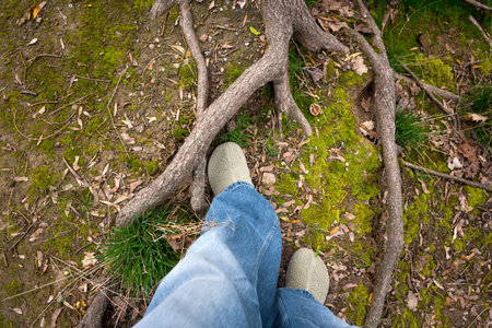 An overhead view of feet in casual shoes on a forest floor covered with moss, roots, and leaves, portraying a natural and serene environmentの写真素材