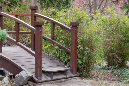 A charming wooden footbridge nestled amidst lush green bamboo and garden vegetation, tranquil outdoor retreat. Perfect for designs focused on nature, tranquility, and traditional garden aestheticsの写真素材