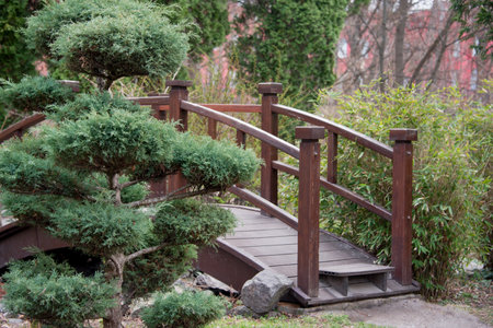 A tranquil scene in a Japanese-style garden, featuring a wooden bridge, artistically trimmed bushes amidst a natural background. The serene ambiance showcases harmony and design in a natural settingの写真素材