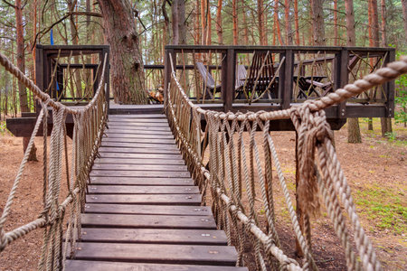 Uniquely designed wooden treehouse features an inviting bridge entrance, surrounded by lush forest....