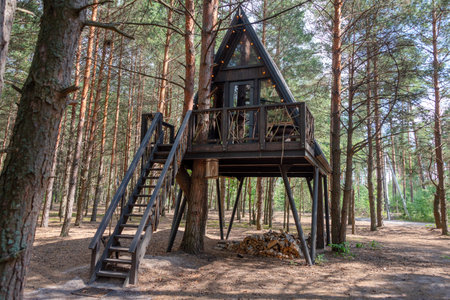 Unique A-frame treehouse situated among pine trees with elevated deck and cozy ambiance. Perfect...