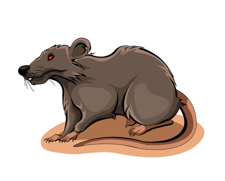 Rat のイラスト素材