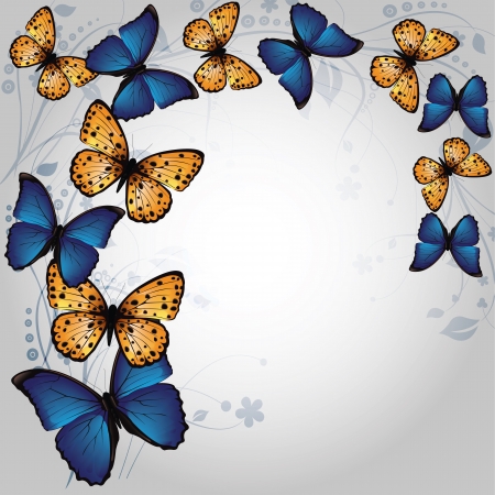 Butterfly Backgroundのイラスト素材