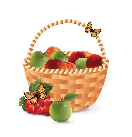 Fruit Basketのイラスト素材
