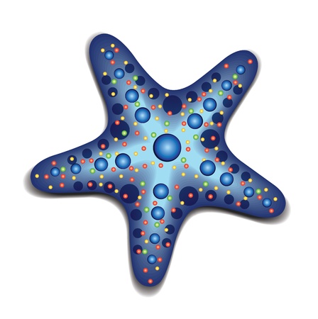 Blue Starfishのイラスト素材