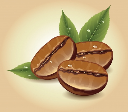 Coffee Beansのイラスト素材
