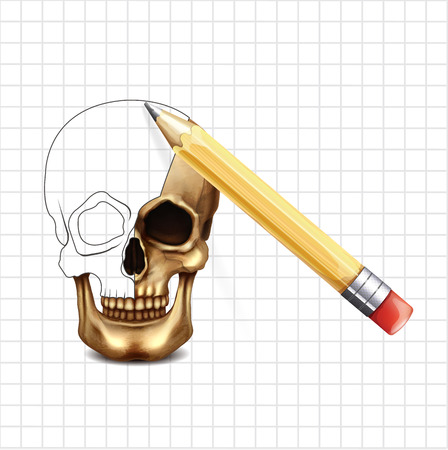 Skull vector sketchのイラスト素材
