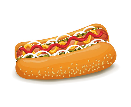 Vector hot dog illustrationのイラスト素材