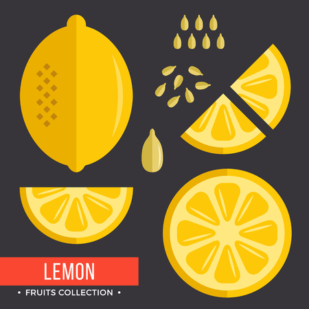 Lemon set. Yellow lemon. Modern flat icons. Vector illustrationのイラスト素材