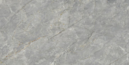 marble texture abstract background pattern with high resolution. (gray)の写真素材