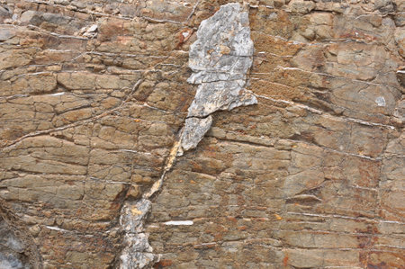 Natural stone texture for background. Close-up of natural stone.の写真素材