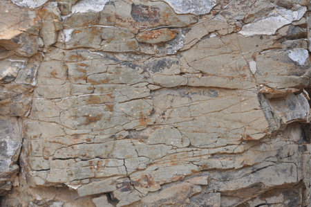 Texture, background. The surface of the stone is covered with cracksの写真素材