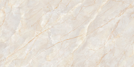 Marble texture abstract background pattern with high resolution. Can be used for interior design.の写真素材