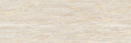 White wood texture background pattern with high resolution. Close-up image of natural wood texture.の写真素材