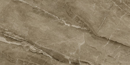 Marble patterned texture background. Marbles of Thailand, abstract natural marble black and white (gray).の写真素材