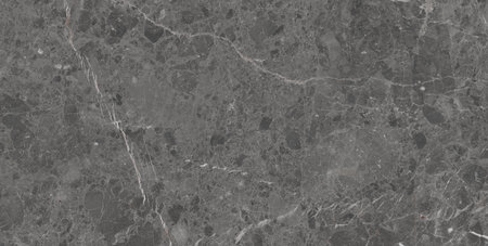 Marble patterned texture background. Marbles of Thailand, abstract natural marble black and white (gray).の写真素材