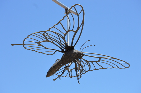 metal butterflyの写真素材