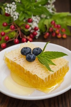 Honeycomb with blueberries and mint. Wooden backgroundの写真素材