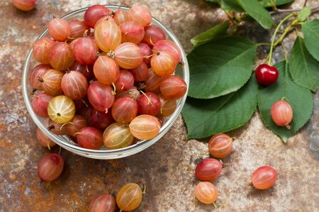 Gooseberries on old background. Top viewの写真素材