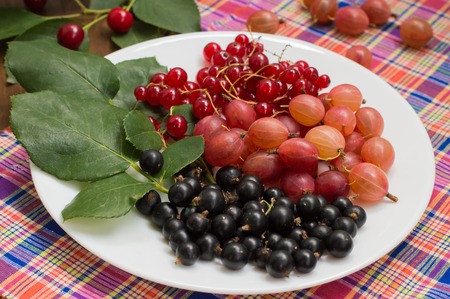 Gooseberries and currants on a wooden background. Top viewの写真素材