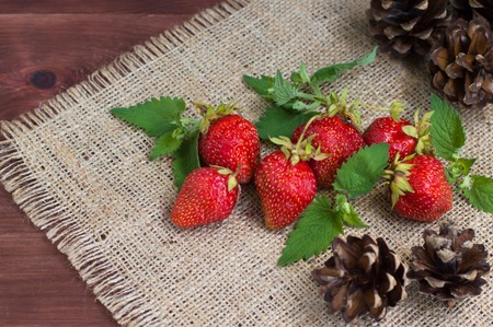 Freshly picked strawberries with pine cones on sacking. Wooden backgroundの写真素材