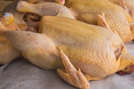 raw chicken on a white background. Top view. Close-upの写真素材