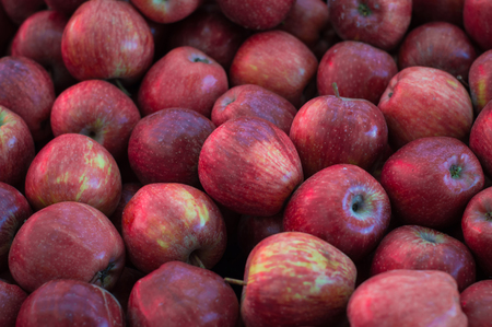 Green and red apples on shelf