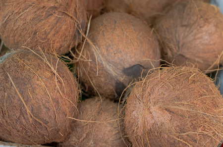 Coconuts for sale on market. Group of small whole fresh brown. Agriculture background. Close-up. Top viewの写真素材