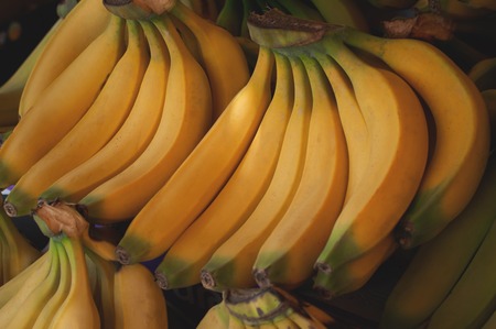 Bananas for sale on farmer's market. Agriculture background. Top view. Close-upの写真素材