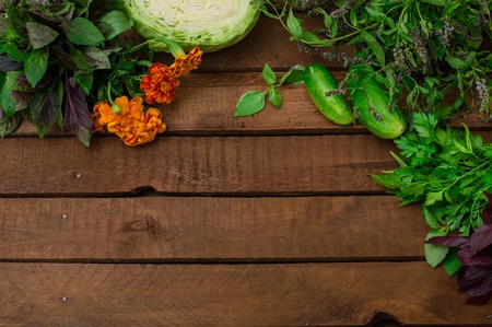 Greens on a wooden background. Close-up. Top viewの写真素材