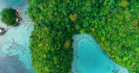 Aerial view of Sugba lagoon. Beautiful landscape with blue sea lagoon, National Park, Siargao...