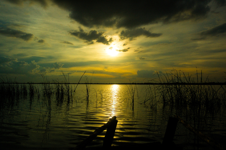 Trees, rivers and eveningsの写真素材